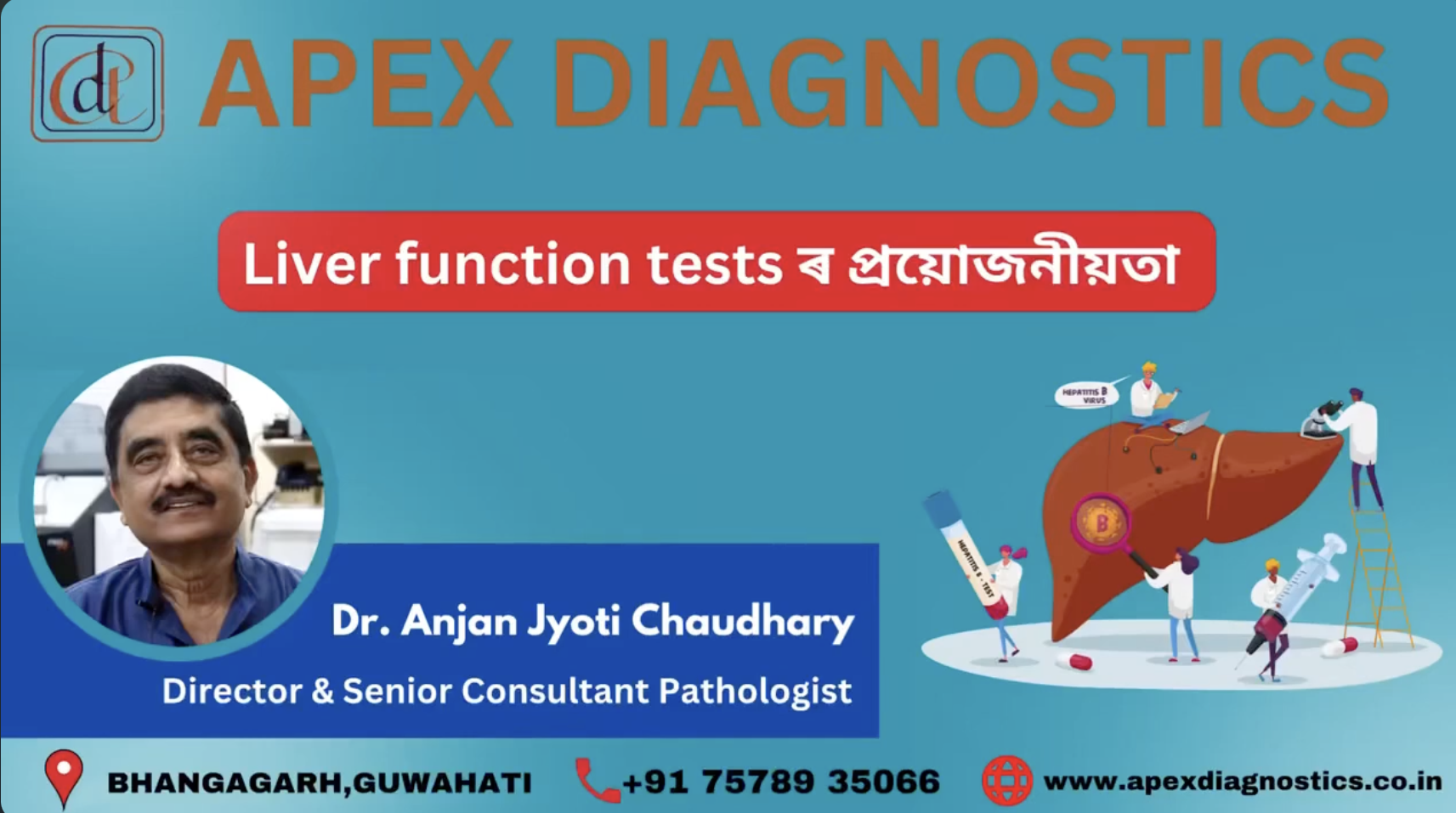 importance-of-the-liver-function-test-apex-diagnostics